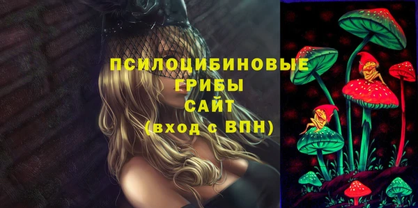 mdpv Алзамай