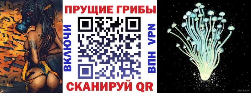 Псилоцибиновые грибы прущие грибы  купить закладку  Березники 