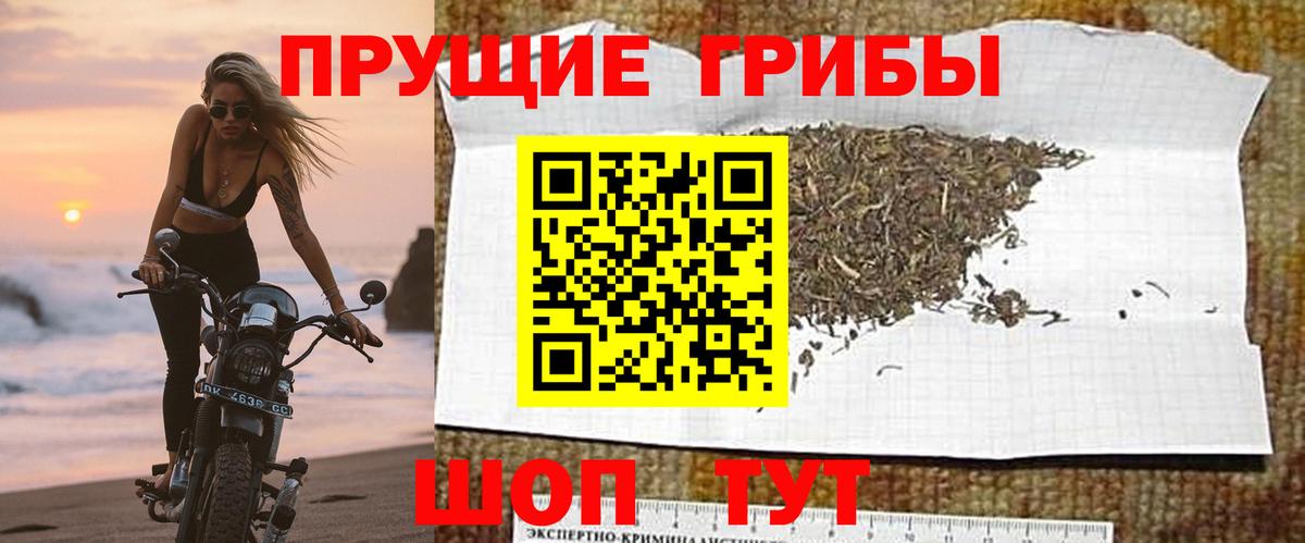 Галлюциногенные грибы MAGIC MUSHROOMS Березники