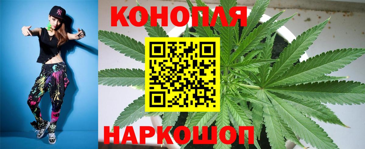 МАРИХУАНА сатива Березники
